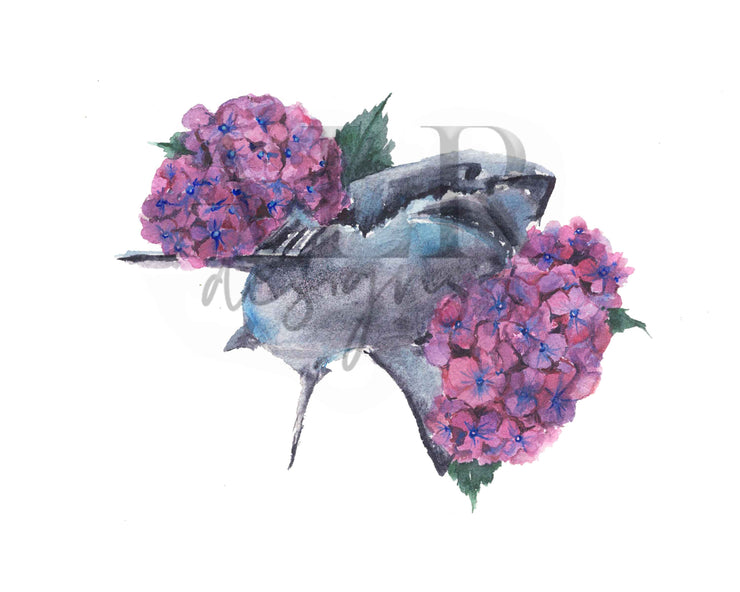 Hydrangea Sharks Assorted Notecard 6 Card Set