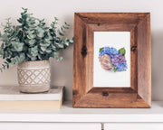 Hydrangea Seashell Blooms 5x7 in or 8x10 Fine Art Print