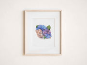 Hydrangea Seashell Blooms 5x7 in or 8x10 Fine Art Print