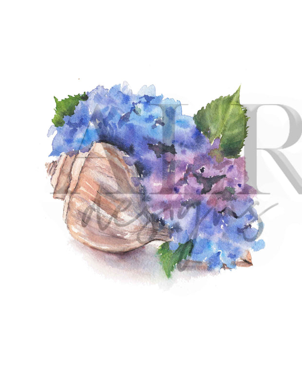 Hydrangea Seashell Blooms  5x7 Blank Greeting Card