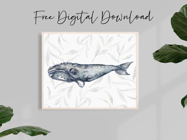 Right Whale Print Free Download